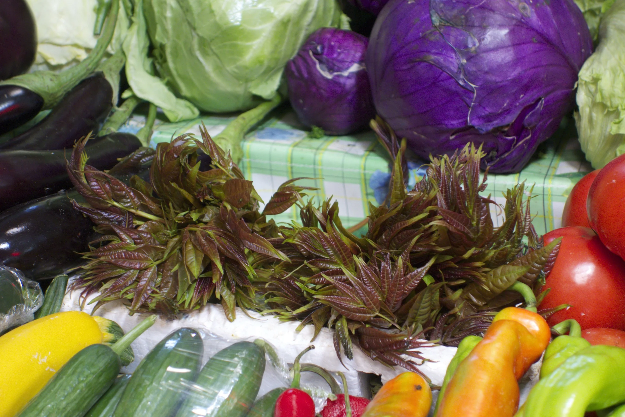 Toona sinensis (香椿) in the market shelf. Never seen this. 