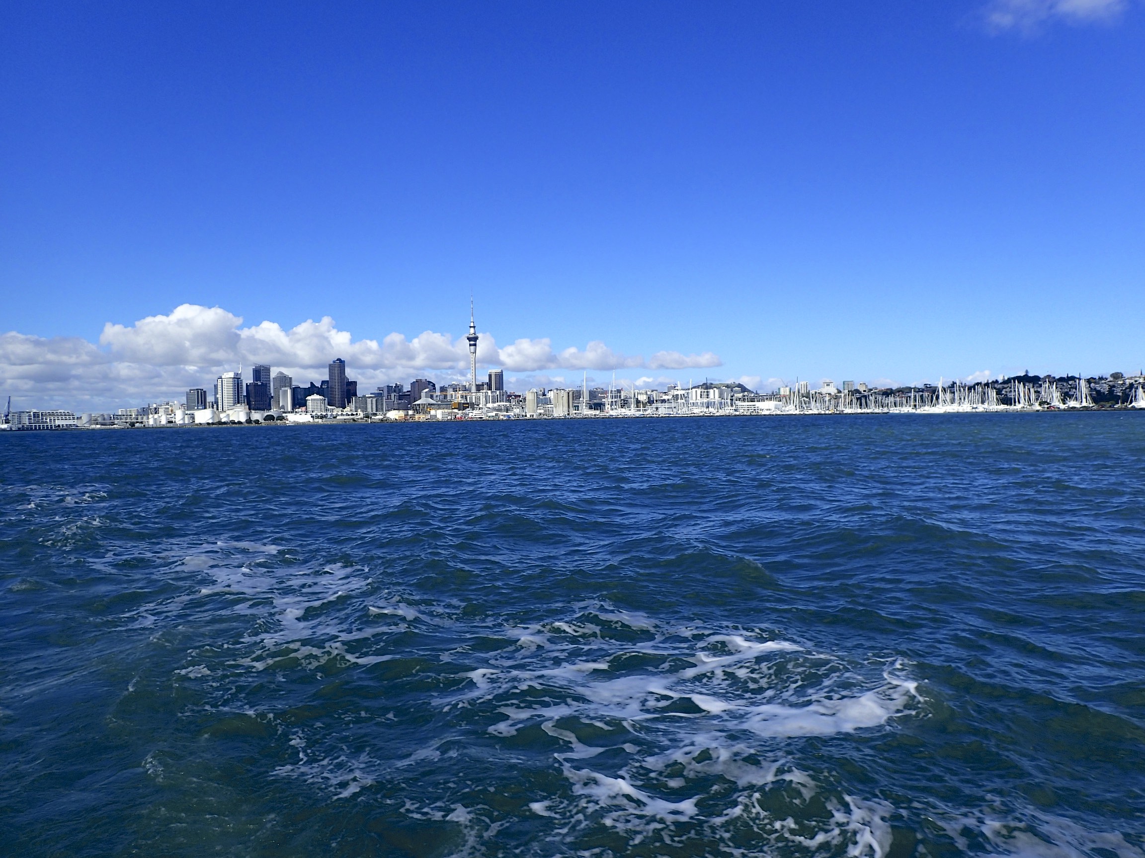 View on Auckland from the harbor.