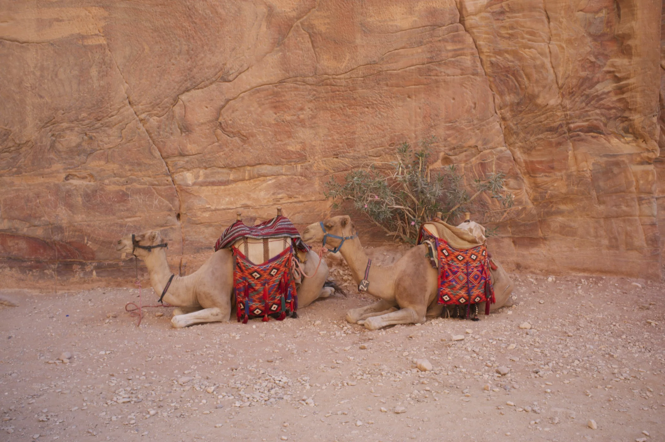 Jordan, towards Wadi Rum.