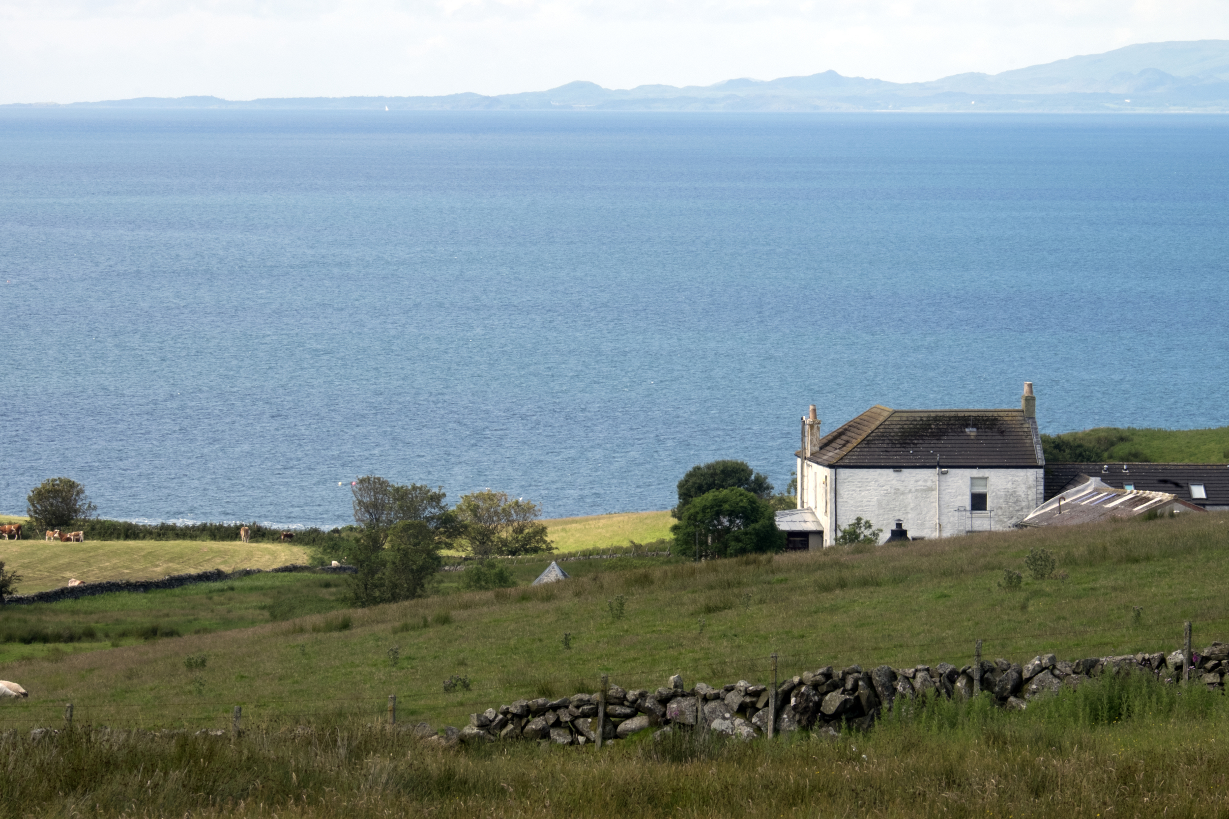 20150730 Kilberry hike, view on loch.jpg