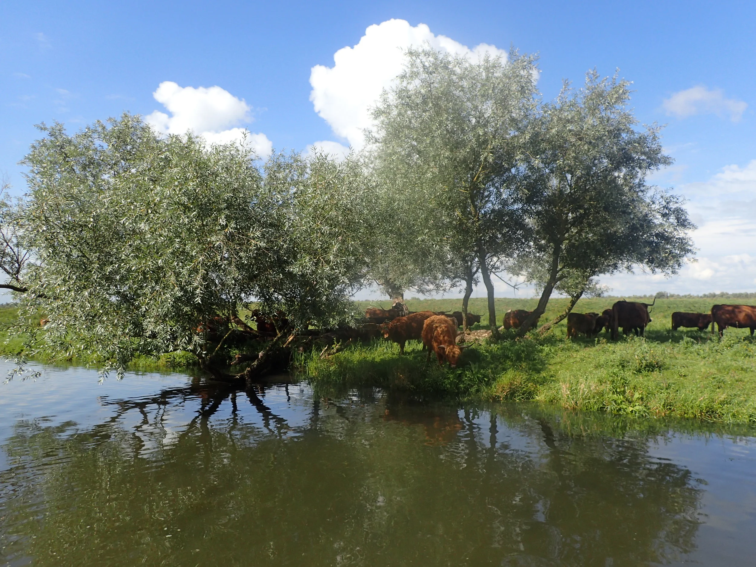 Exploring the land of canals from the waterside.