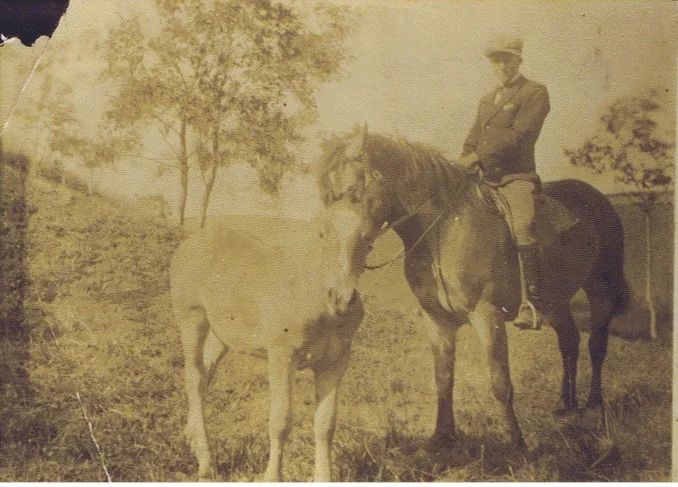 Anton Siegmund with his Trakehner horses