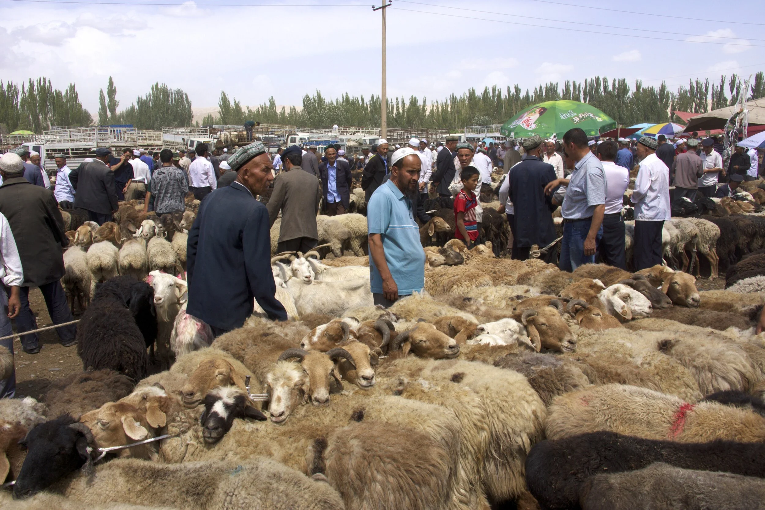 The New Silkroad: Opportunities