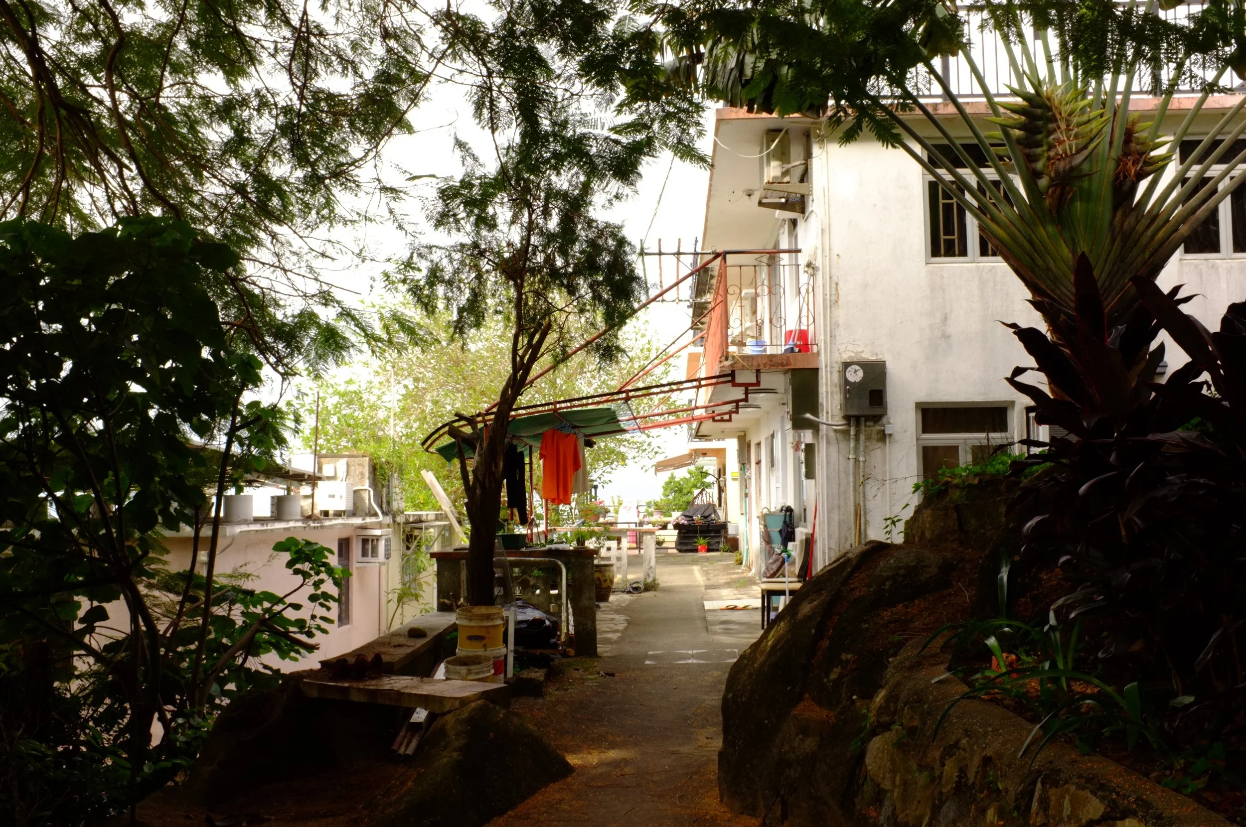 DSCF3938.JPG