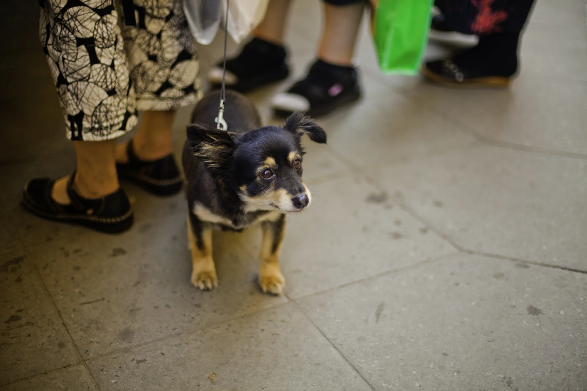 _MG_5406-2.jpg