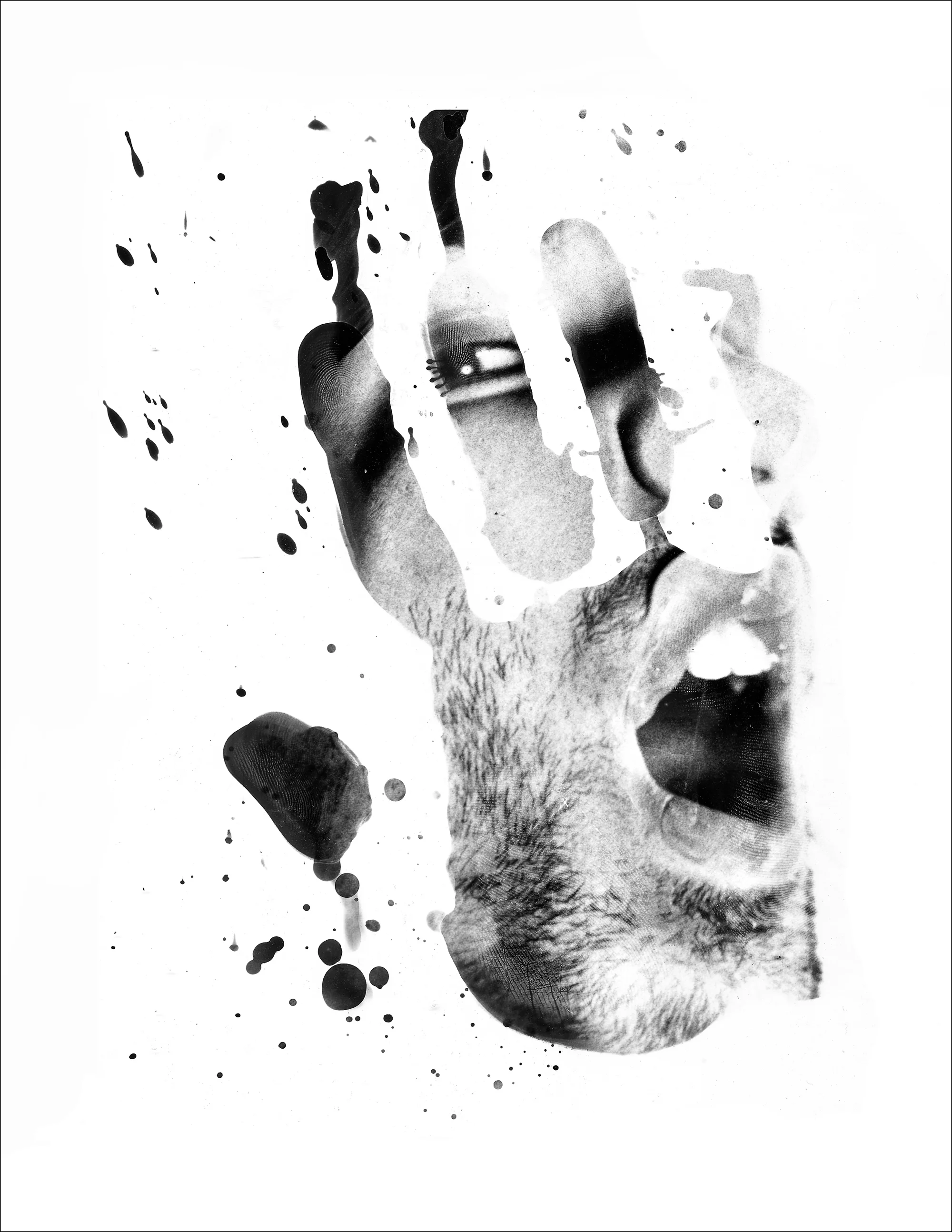 8x10 Silver Halide, photographic Darkroom Print.