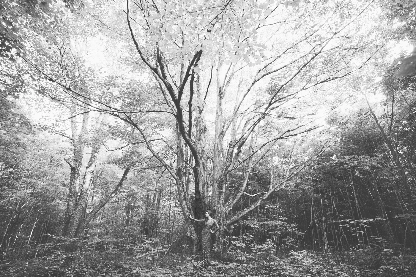 the goddess of opera, Ambur Braid (photographed on her property last fall)