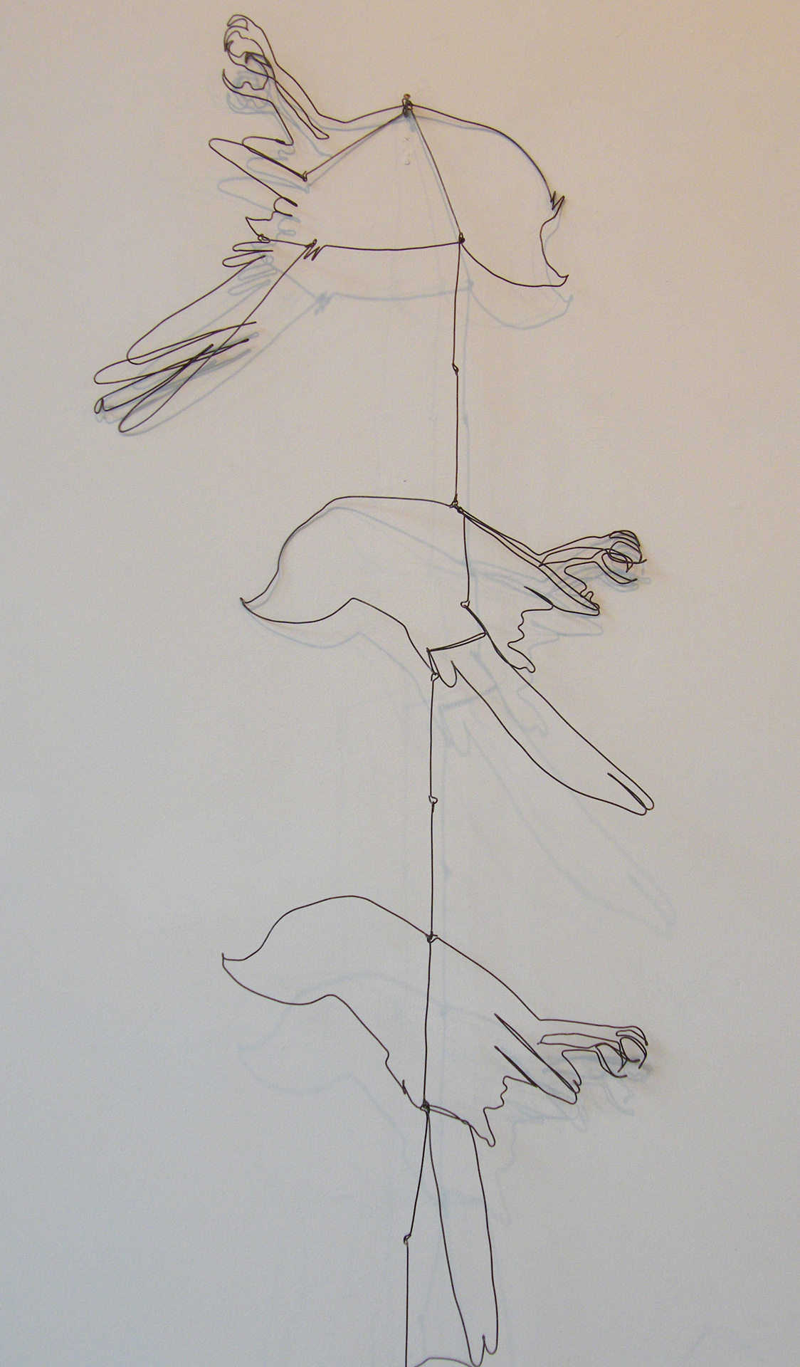 Cooper's Hawk Completes the Circuit, detail 1