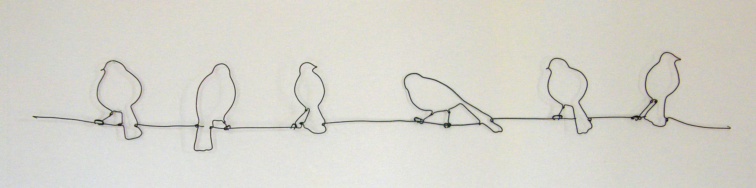 Birds on a Wire