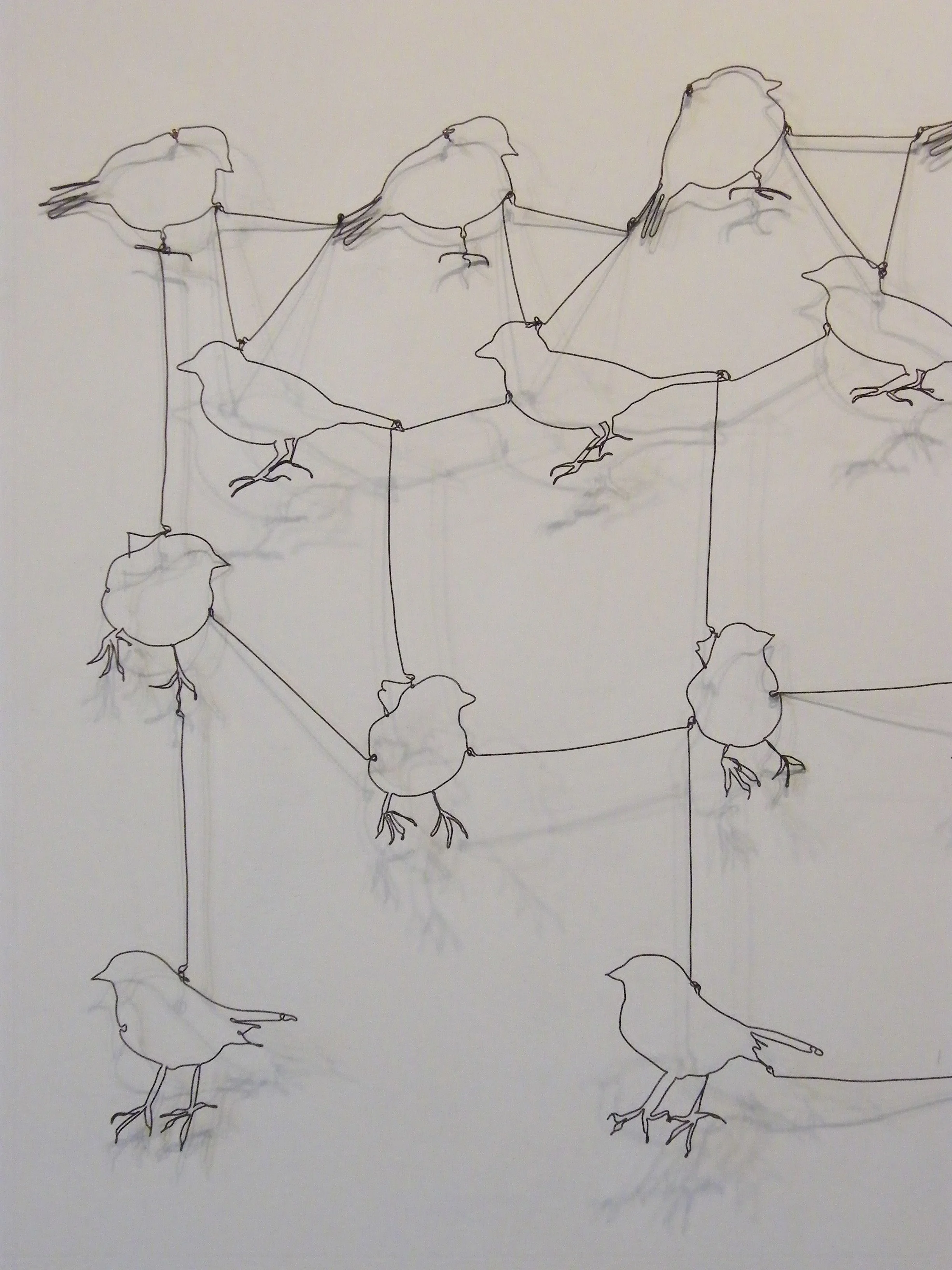 Sparrow Migration Patterns, detail