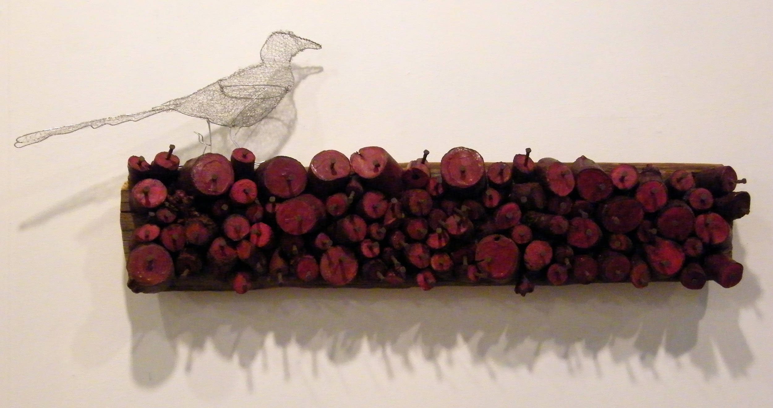 Magpie with Her Treasures