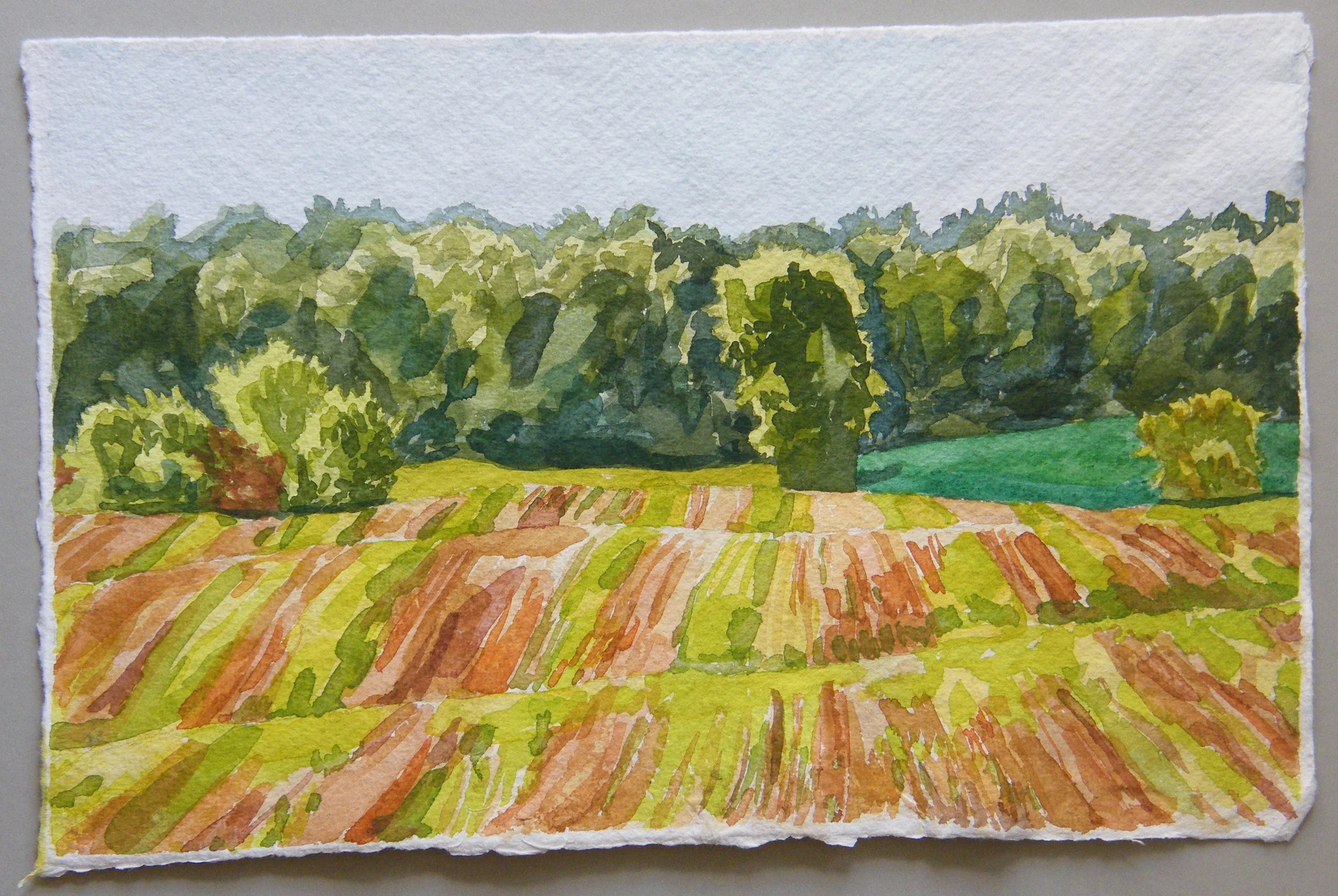 Done! Waterworks Road, Early Fall 2. This piece is on Indian Village handmade watercolor paper. Each of the finished paintings here are on different papers and that affects the colors and the way the papers handle the paint. I love painting on 2 different kinds of paper to keep in interesting and challenging for me.