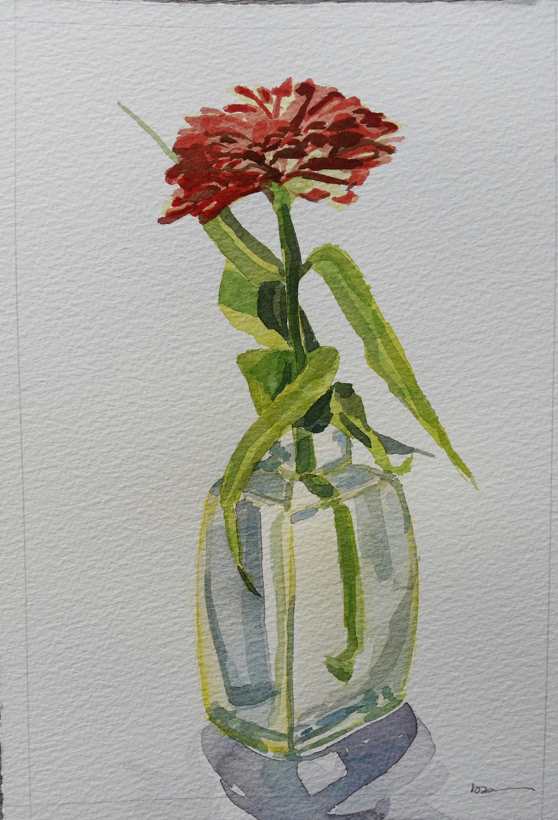 Red Zinnia in Bottle, 