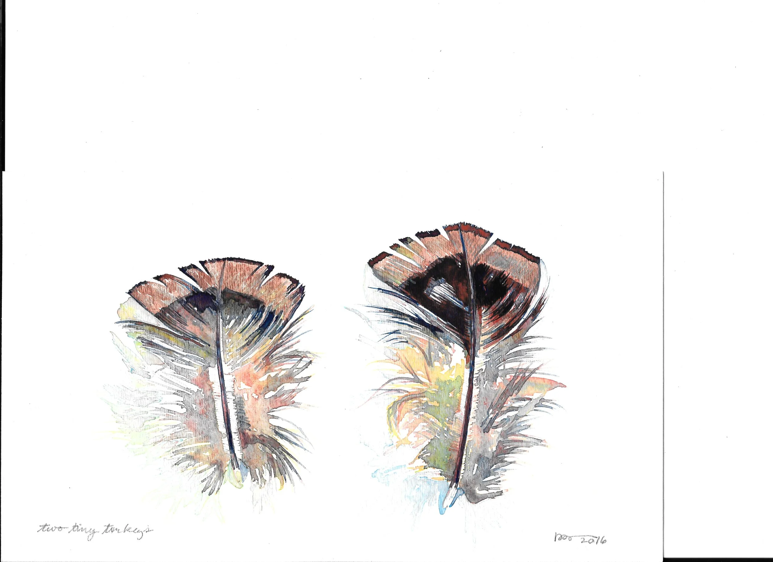 Two Tiny Turkeys, watercolor on paper, 6 x 10"