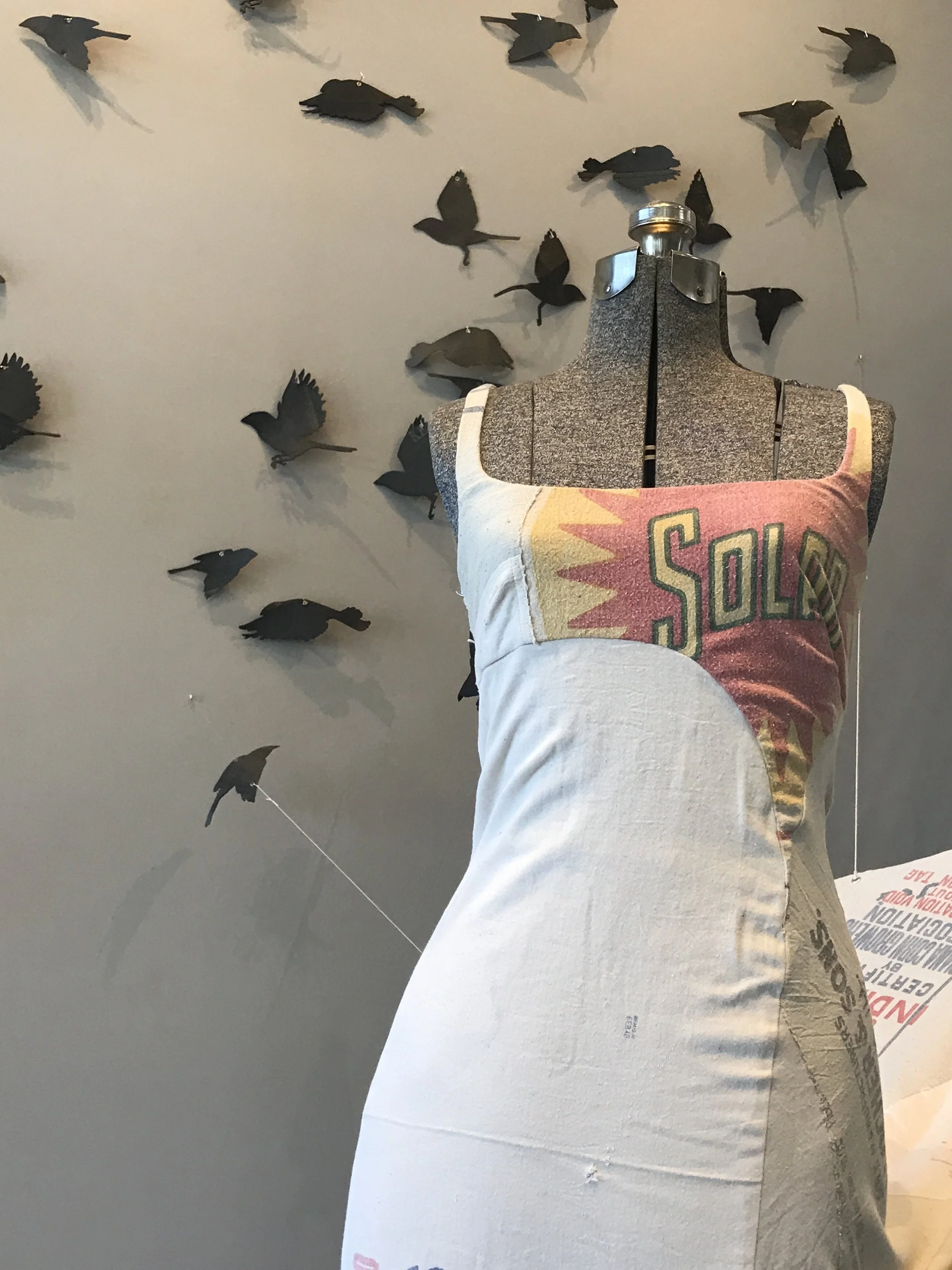 The Real Cinderella Dress