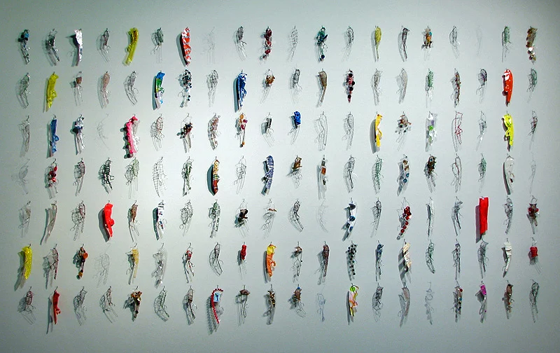 4. Variations Within a Species.jpg