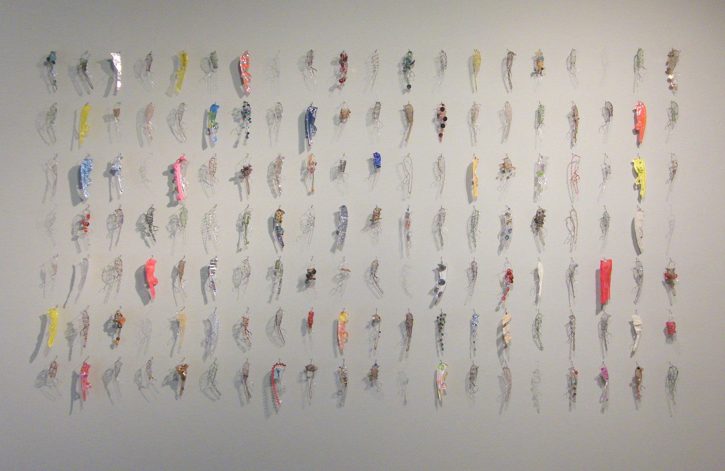 Variations Within a Species