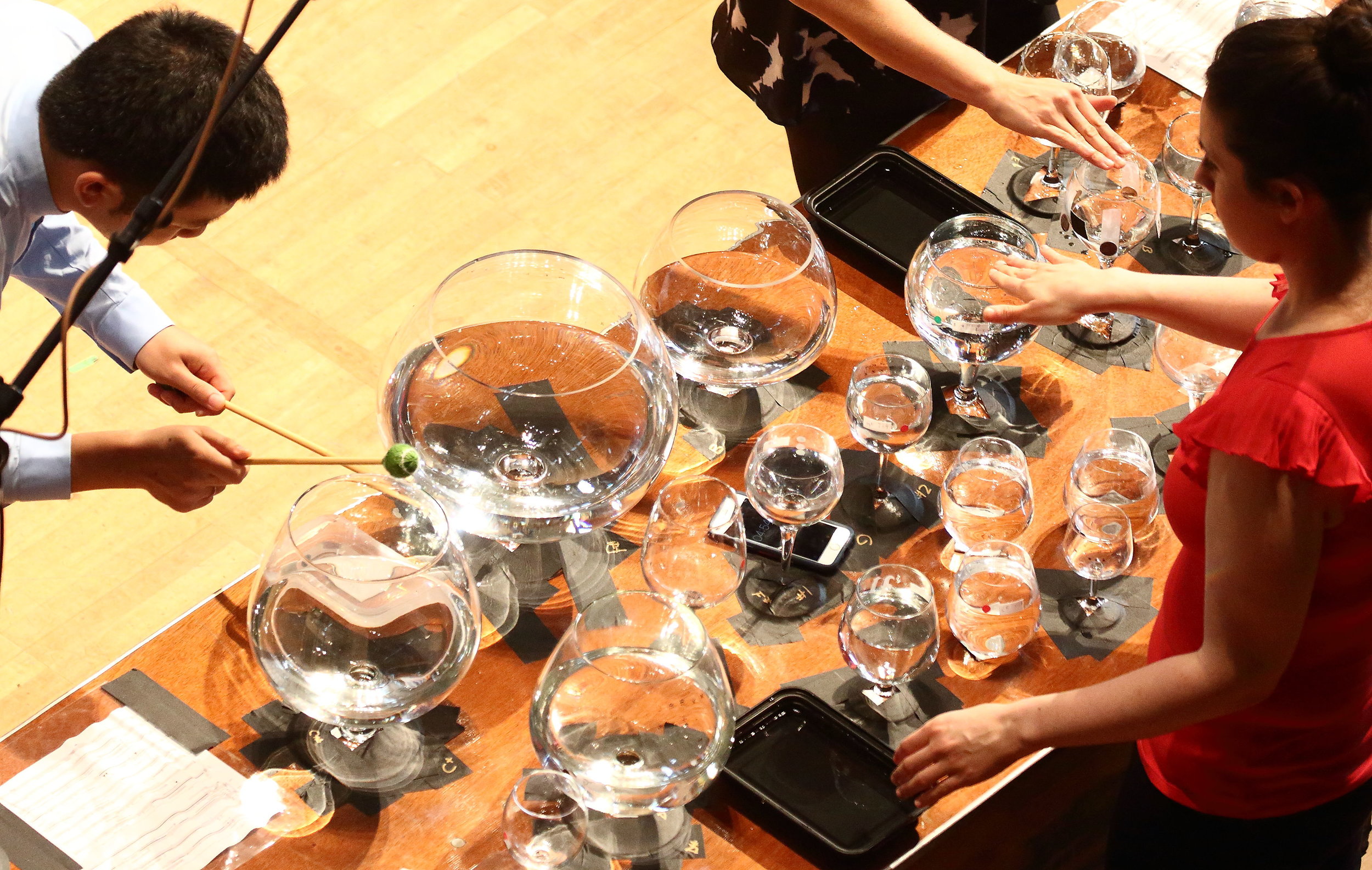 Tanglewood Music Center fellows performing Kui Dong's world premiere, A Night at Tanglewood. Hilary Scott photograph.
