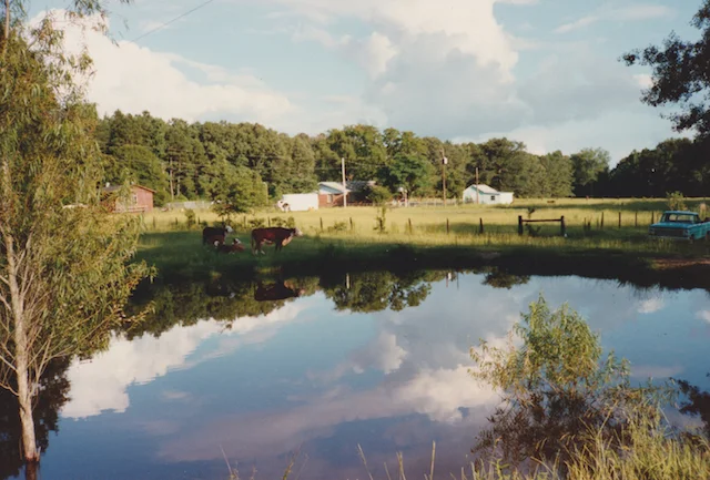 Mima and Granddaddy's Place in Texarkana