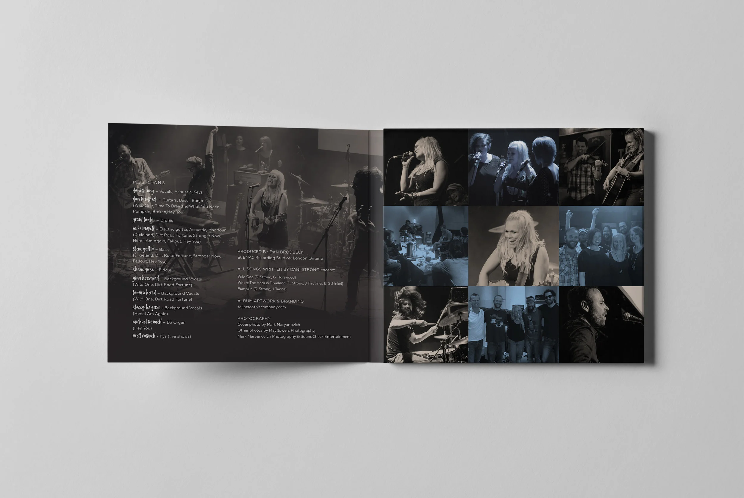 all in one_CD Pack Mock-DANI_inside_fold.jpg
