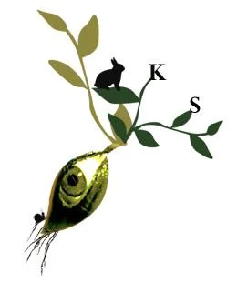 logo.jpg