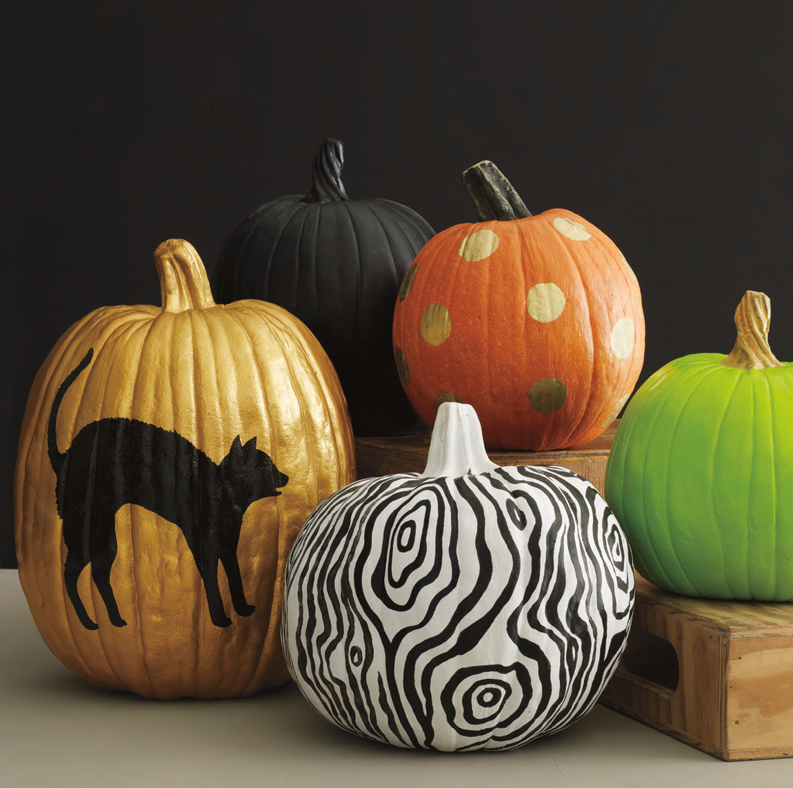 Pumpkin Assortment // Everyday with Rachael Ray