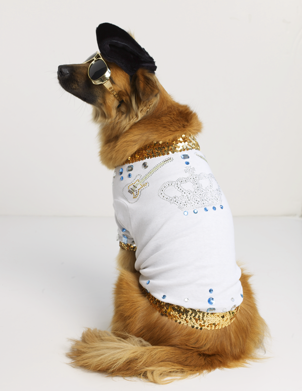 Elvis Pet Costume // Everyday with Rachael Ray
