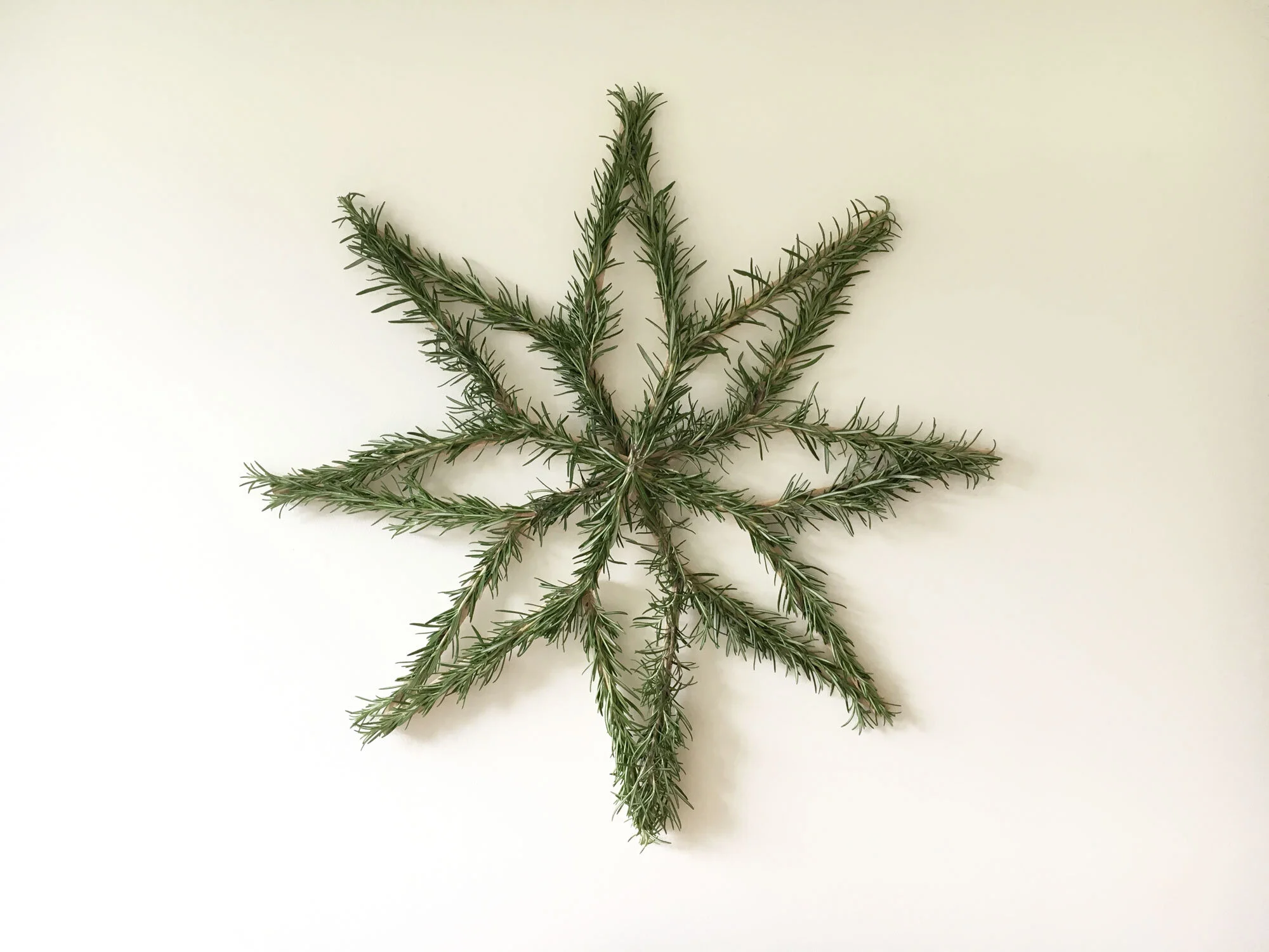 Scandinavian Star Wreath // Garnet Hill