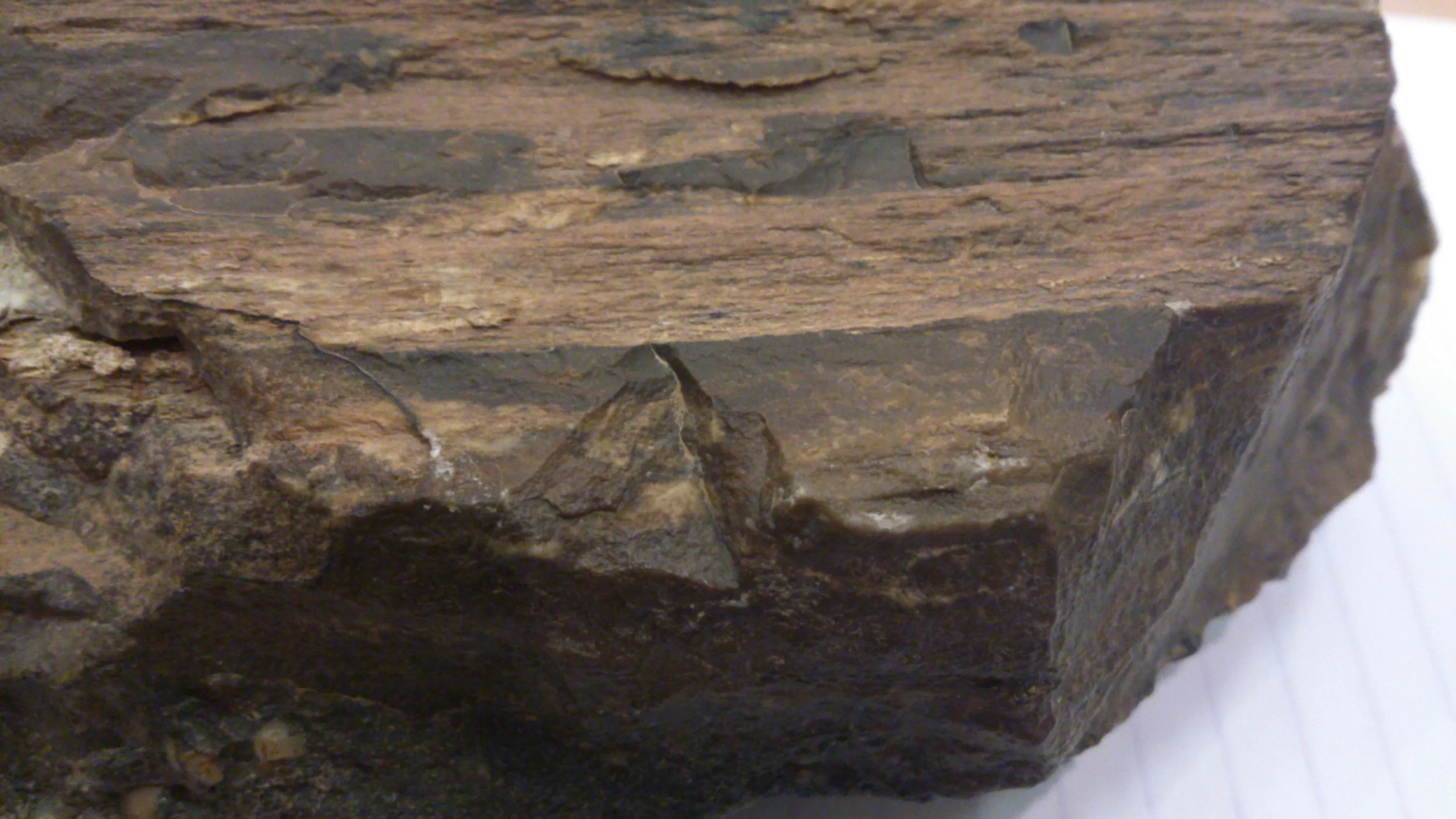 petrified wood desert varnish jade mellor.jpg
