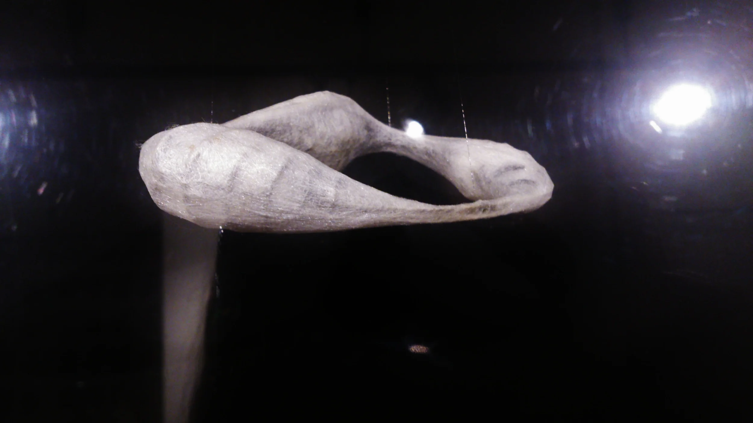Exuvie . Hybrid – 3-2, 2008 925 silver, rough silk, organic waste David Roux-Fouillet 