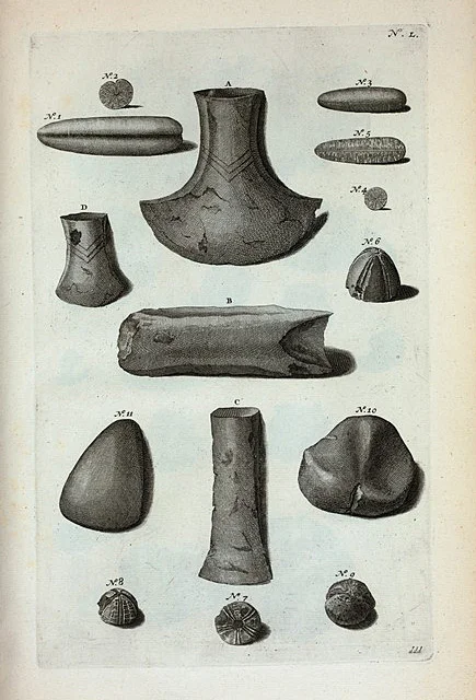 "Thunderstones" Pre-historic axe-heads and arrowheads, once thought to be fossilised thunderbolts!