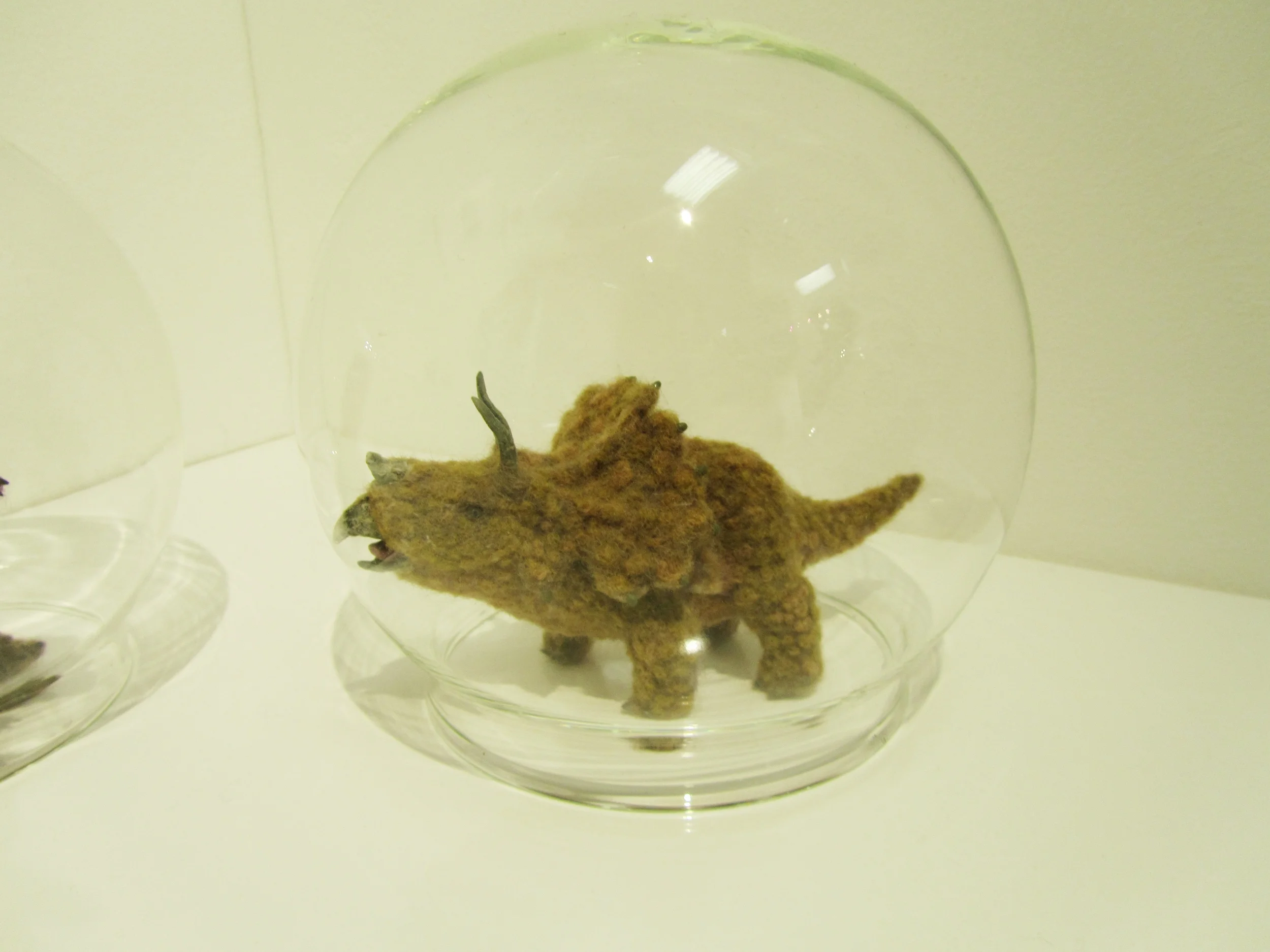This little fellow looks preserved in a pre-historic environment as your own pet dinky dino in a bubble.