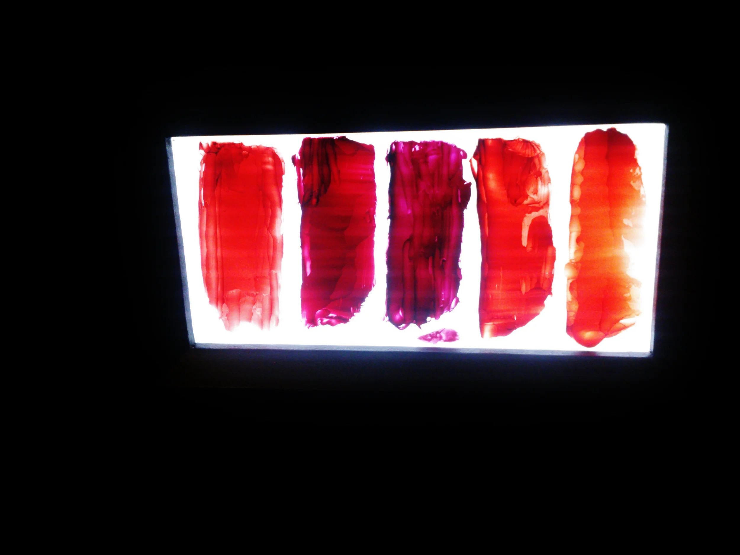 From beetles to bark, natural pigment samples I saw at The National Galleries "Making Colour" exhibition.