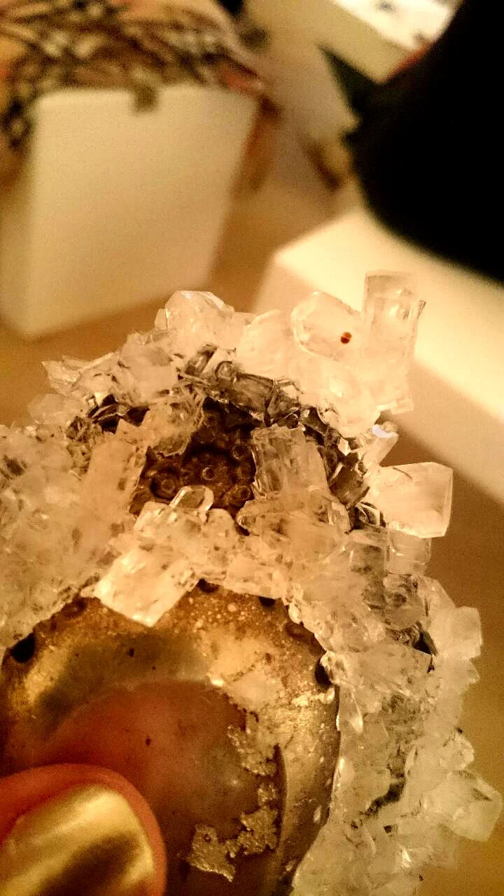 The sugar crystals took 6 months to form on this silver object by David Clarke.