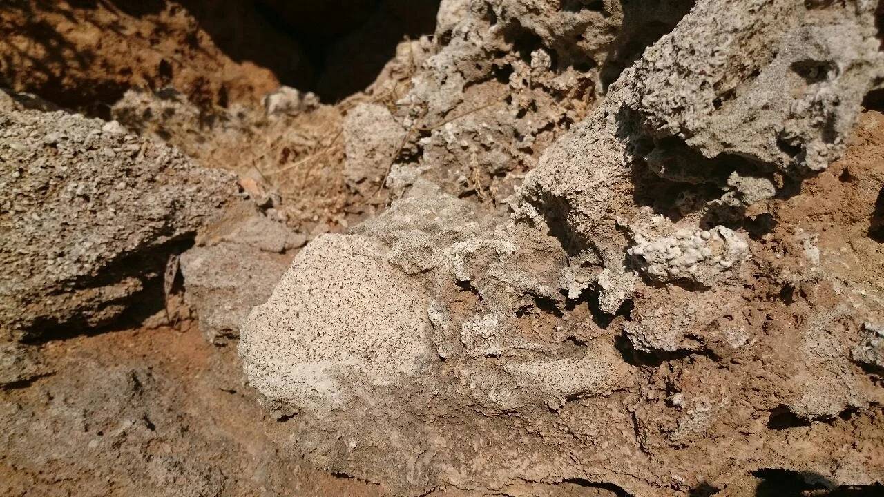 Lovely textures of volcanic rocks where gases bubbled and the shells of prehistoric sea creatures fused with them.