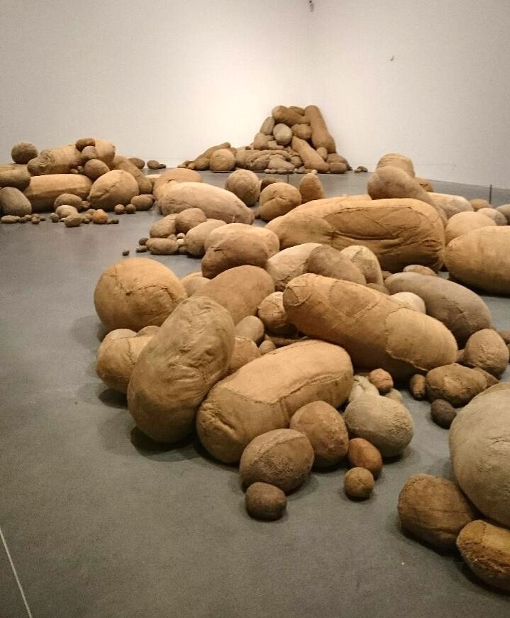 Magdalena Abakanowicz, Embyology 1978–80