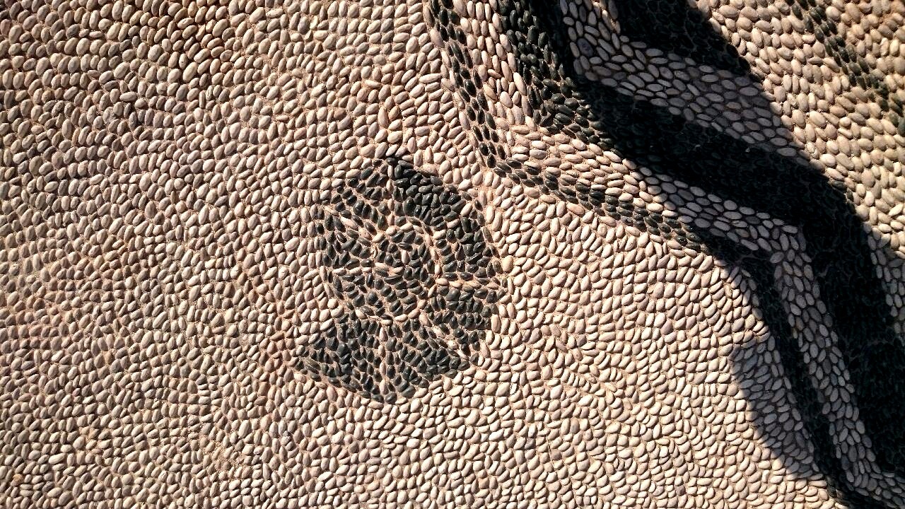 kalithea shell fossil ammonite mosaic Greece motif spa.JPG