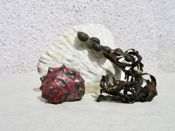 New Ring from "Conchology" inspired by the colours of the "Strawberry Topshell" Variety