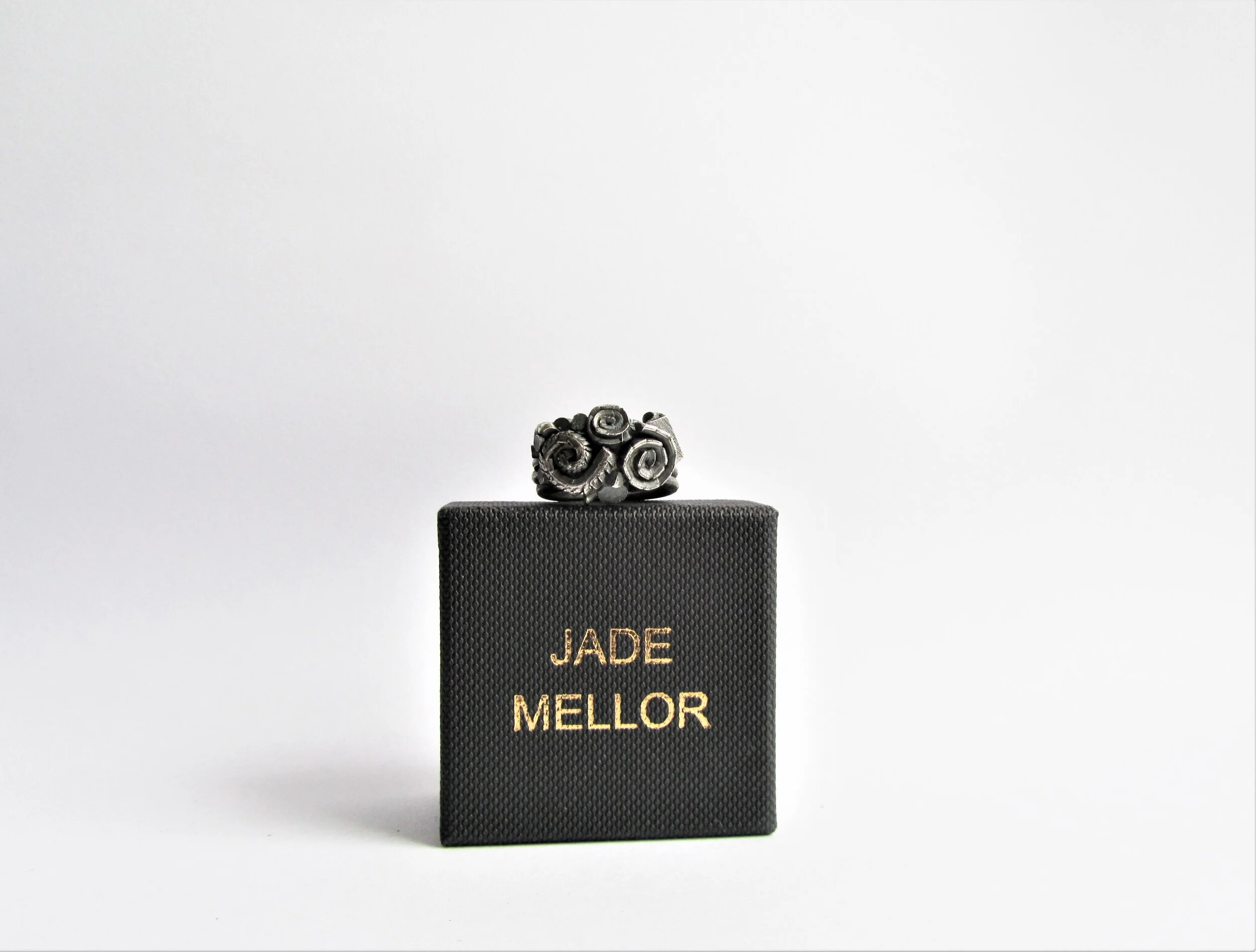 jade mellor caddis larvae ring box small.JPG
