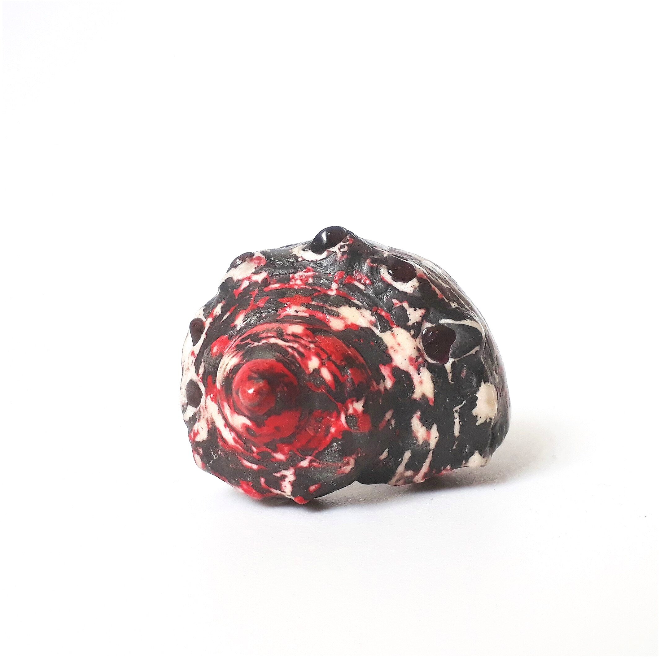 jade+mellor+conchology+red+black+white+carnelian+topshell+shell+ring++6.jpg