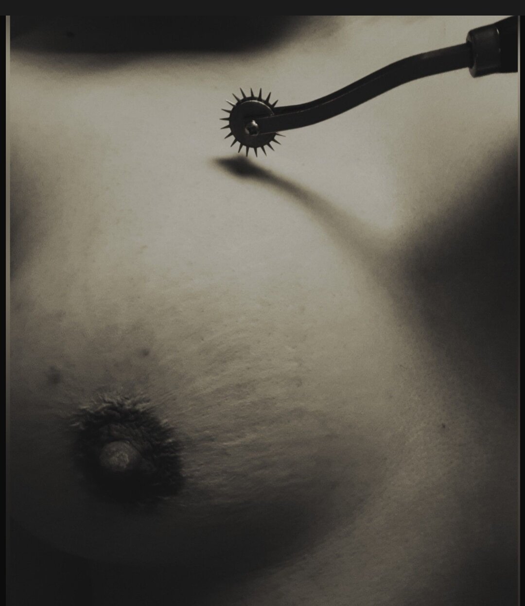 NR Fettography (17).jpg
