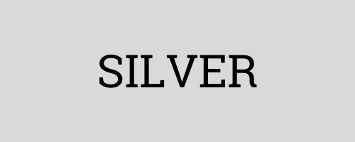 Silver TS25 (1).png