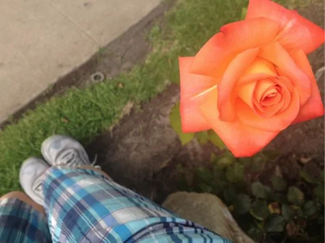 Good enough, Day 19: Prodigal Writer