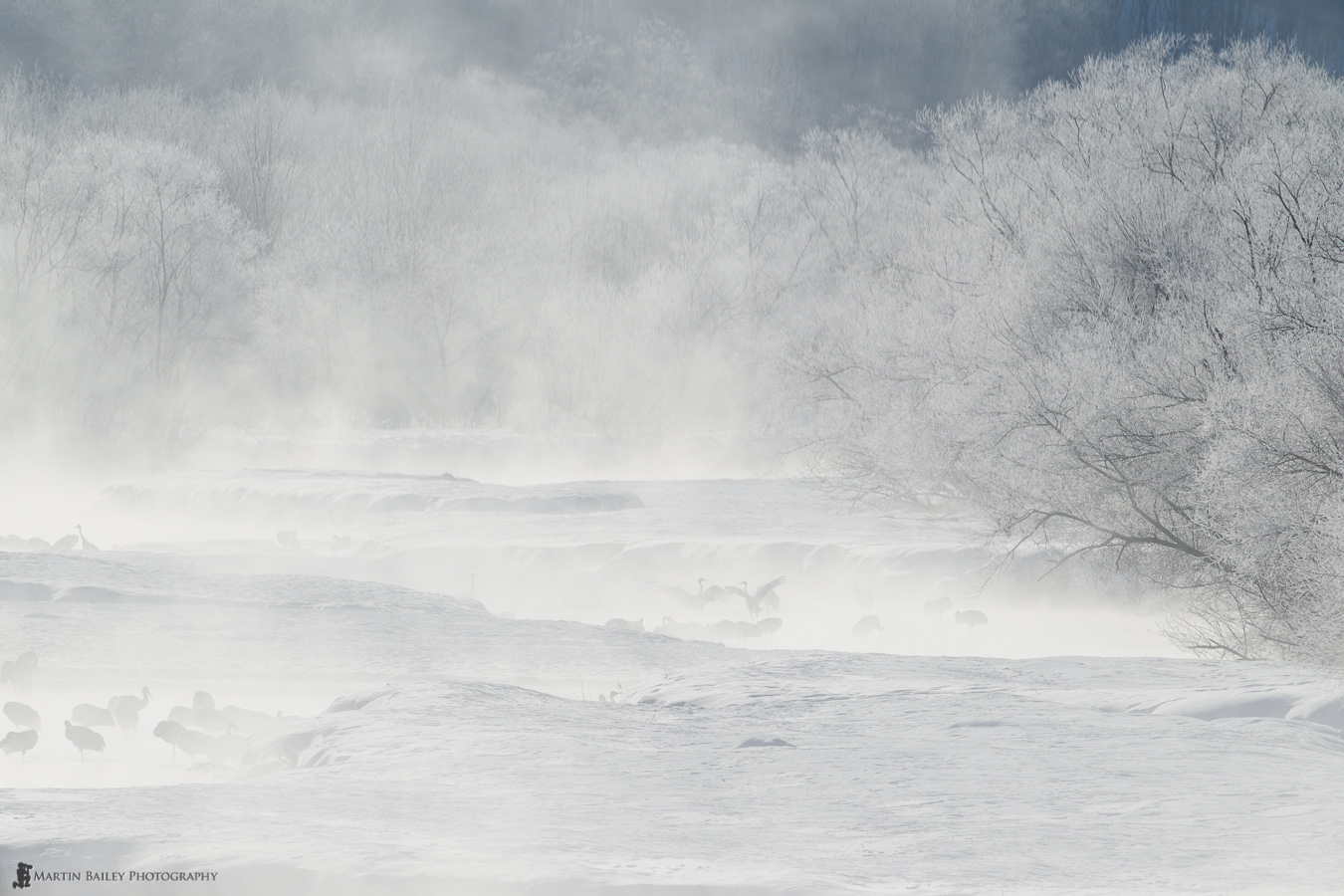 MBP_Otowabashi_20120217_7473.jpg