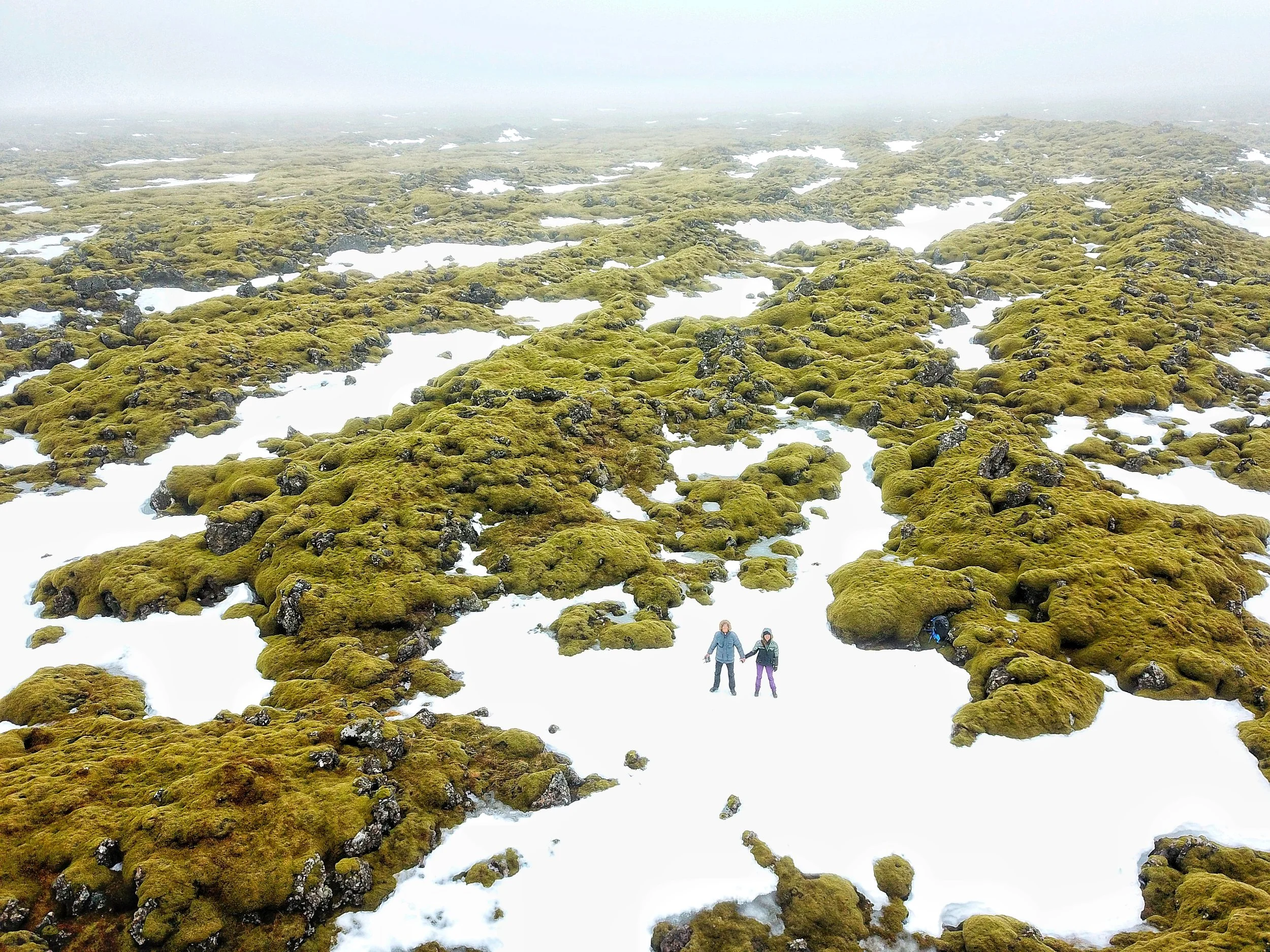 DJI_0019-01.jpeg