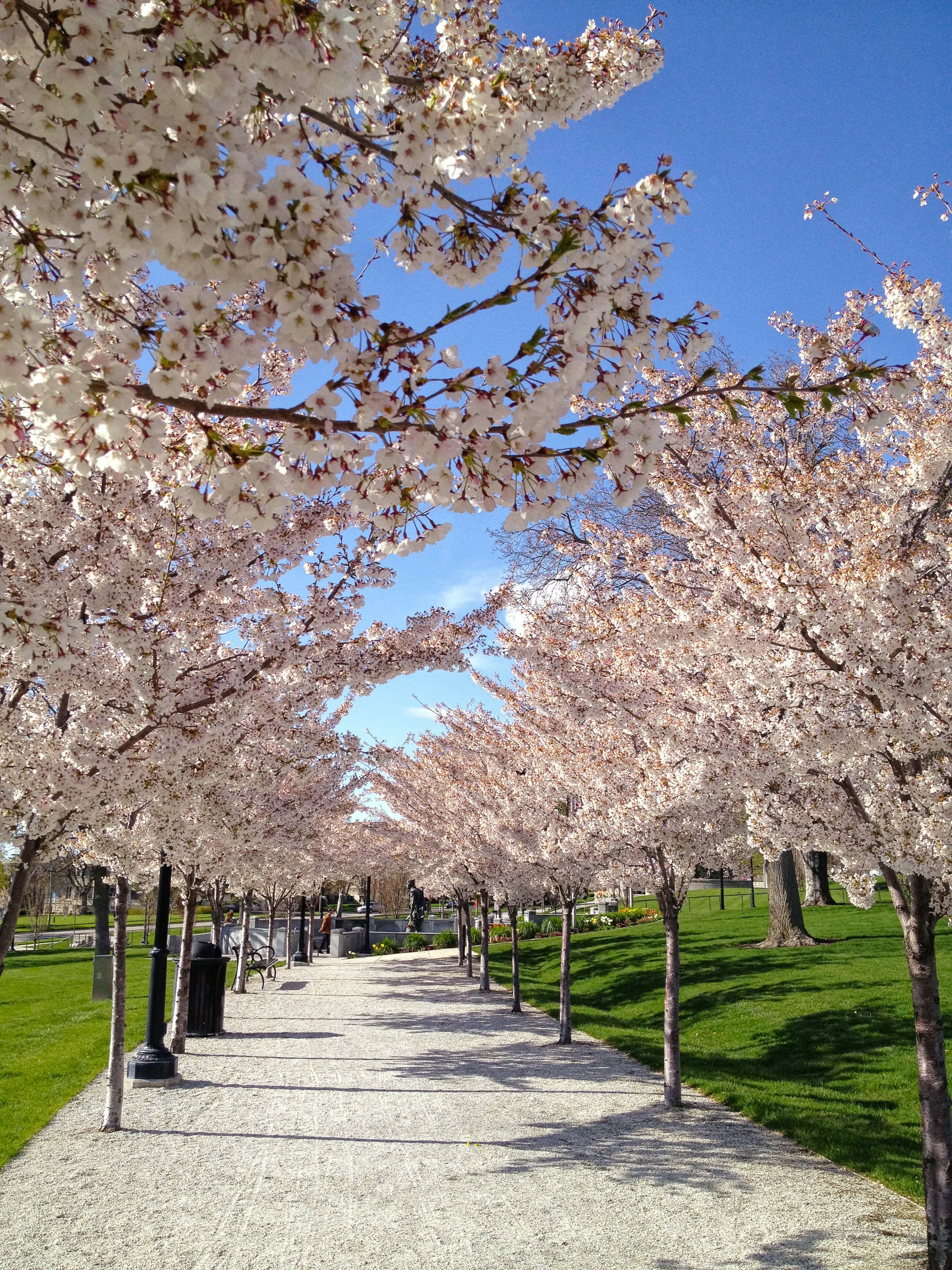 Capitol-B Apr 2013.jpg