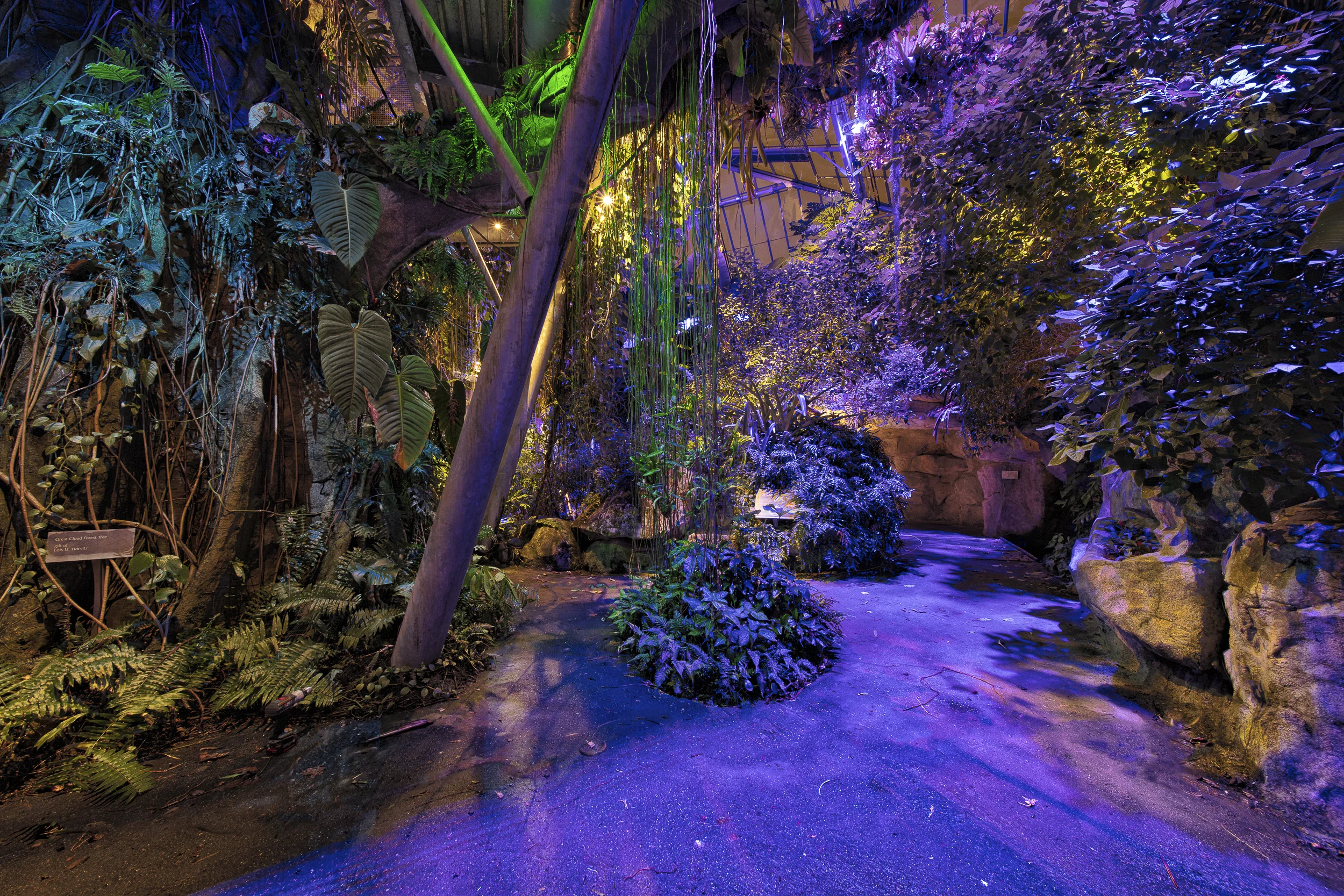 Cleveland Botanical Garden Glasshouse14-2.jpg