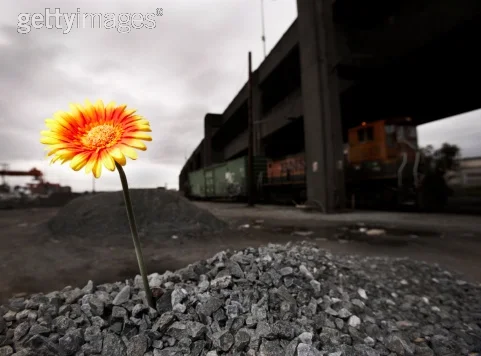 Photo by Thomas Northcut/Digital Vision / Getty Images