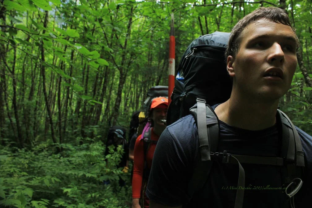 Hiking through the dense understory of Lemon Creek Valley. Photo: M. Dutschke