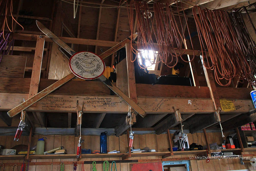 Climbing ropes hanging to dry in the cookshack at Camp 17 on the Juneau Icefield. Photo: Mira Dutschke